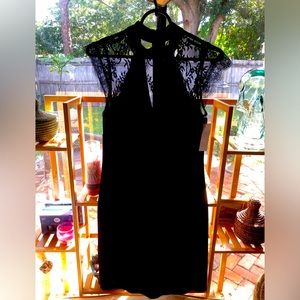 White House Black Market velvet and lace dress